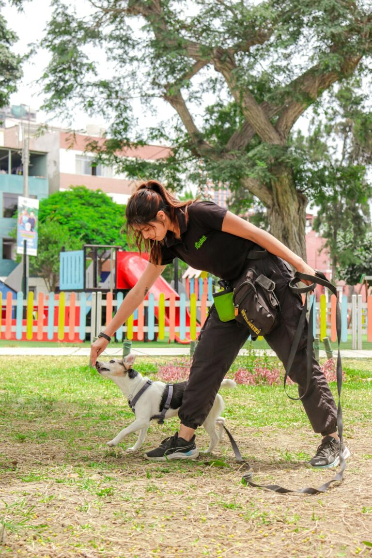 Woman training a dog outdoors in a park with playful surroundings.